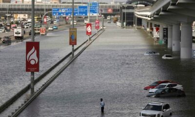 UAE authorities advise prayers at home amid heavy rain
