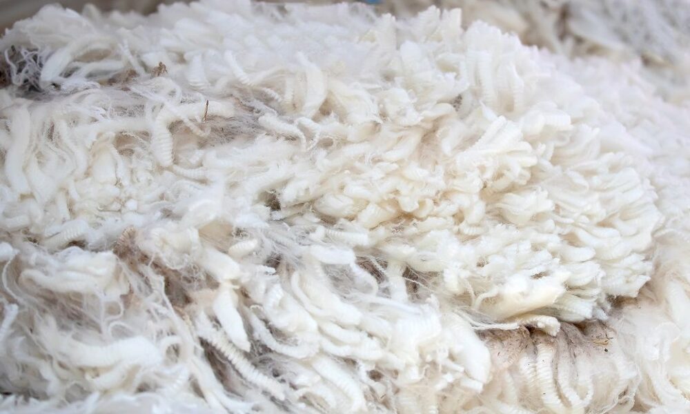 Australian wool market gains on strong merino demand