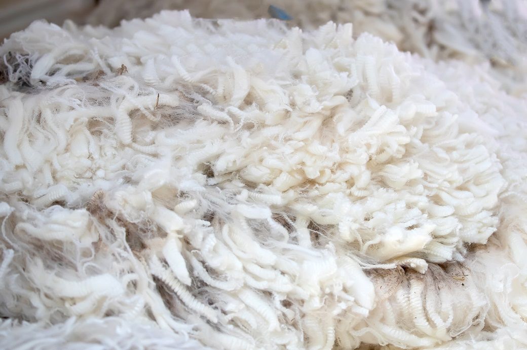 Australian wool market gains on strong merino demand