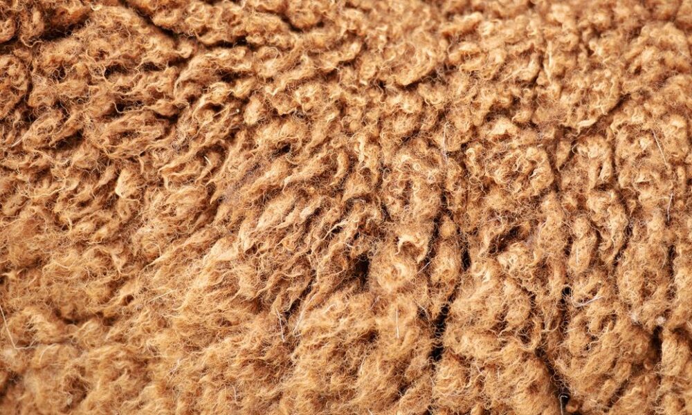 Australian wool prices decline this week as buyer caution ends rally