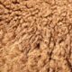 Australian wool prices decline this week as buyer caution ends rally