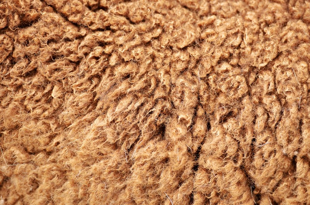 Australian wool prices decline this week as buyer caution ends rally