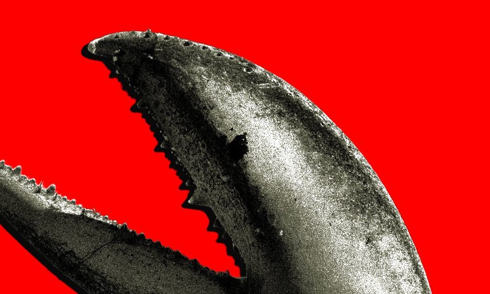 China’s OpenClaw Boom Is a Gold Rush for AI Companies