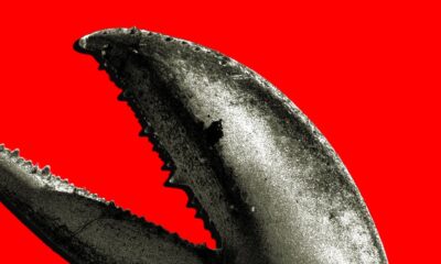 China’s OpenClaw Boom Is a Gold Rush for AI Companies