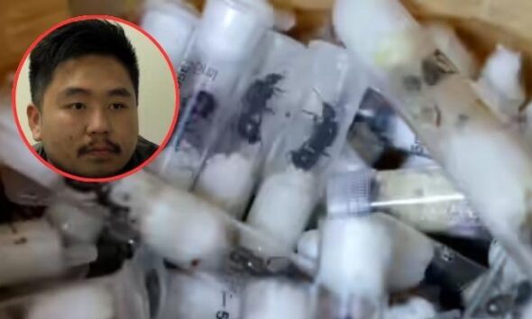 Chinese man arrested in Kenya trying to smuggle 2,200 live queen ants in his luggage