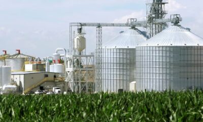 Ex-finance minister calls for measured ethanol policy to cut fuel costs