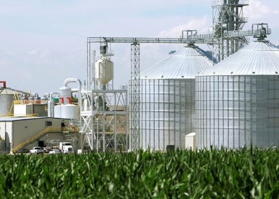 Ex-finance minister calls for measured ethanol policy to cut fuel costs