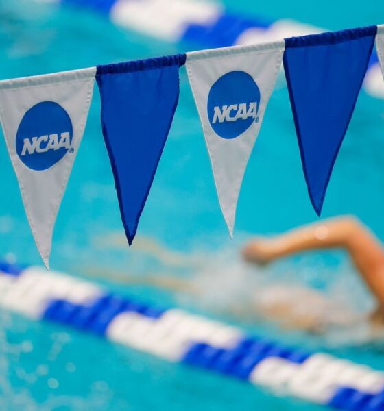 NCAA men’s, women’s swimming and diving championship winners