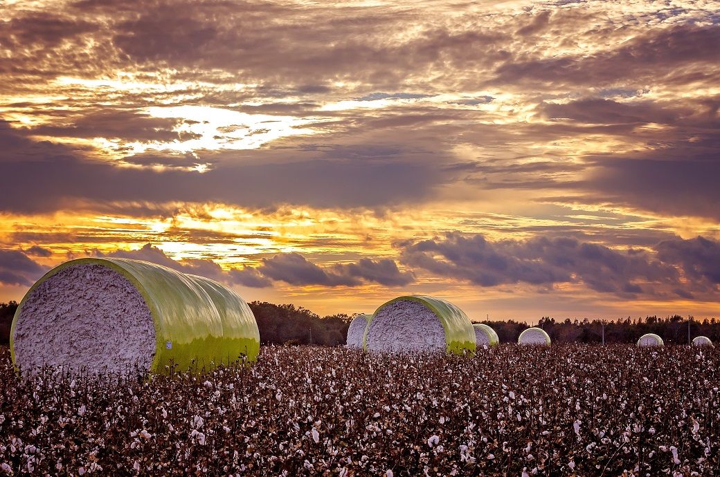 ICE cotton slips on weaker crude, profit booking