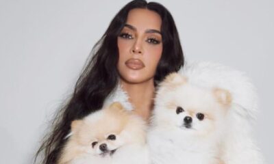 Kim Kardashian faces new blow amid excitement for new dogs