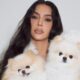 Kim Kardashian faces new blow amid excitement for new dogs