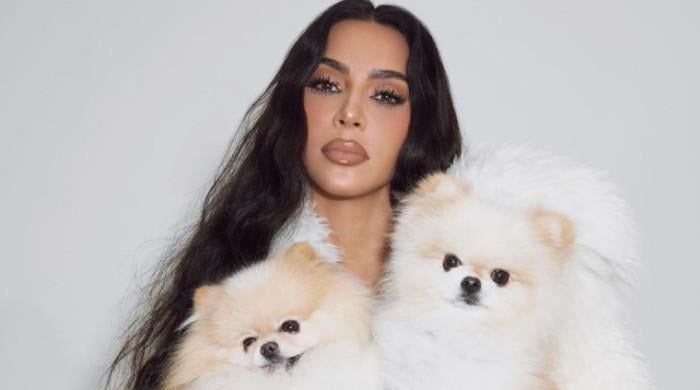 Kim Kardashian faces new blow amid excitement for new dogs
