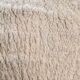 Merino demand drives Australian wool market higher, EMI up 16 cents