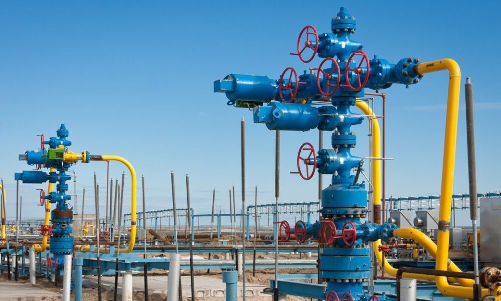 No shortage of petrol-diesel, kerosene, ATF, fuel oil: Indian minister