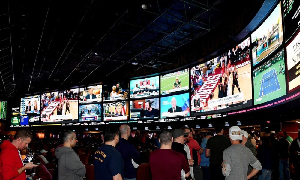 Ole Miss to launch center devoted to risks, effects of gambling