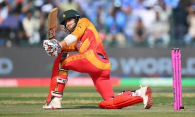 Peshawar Zalmi strengthen squad with new foreign signing