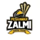 Peshawar Zalmi teams up with Repu for AI media insights | The Express Tribune