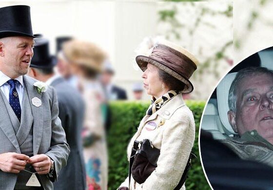 Princess Anne takes surprising step for Andrew with Mike Tindall support