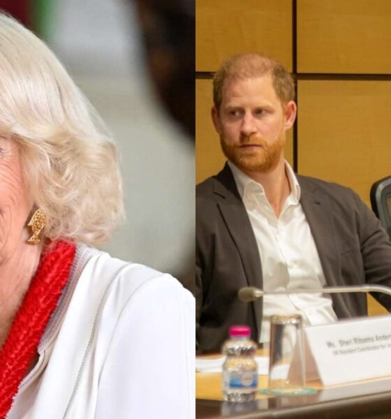 Queen Camilla daring move shocks Prince Harry after big announcement