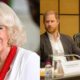 Queen Camilla daring move shocks Prince Harry after big announcement