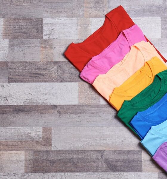 South Korea’s apparel imports slightly lower at  billion in January