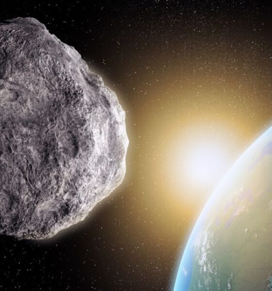 Space company plans bold landing on fast-moving asteroid passing near Earth