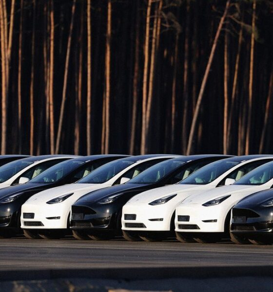 The Tesla Influencers Leaving the ‘Cult’