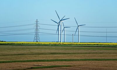 UK to scrap tariffs on 33 goods to aid offshore wind manufacturing