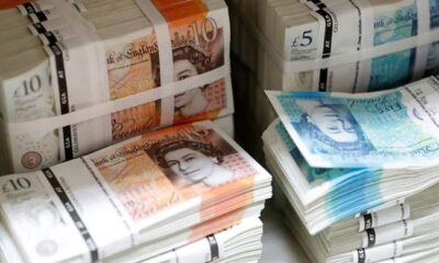 Wildlife to replace humans on next series of UK banknotes