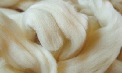 Wool prices soften in Australia on rising supply, weak demand