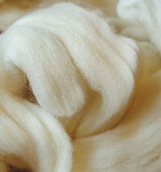 Wool prices soften in Australia on rising supply, weak demand