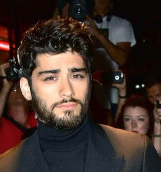 Zayn Malik sends fans into meltdown with new music video