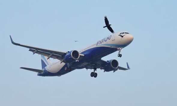 Iran war deals double blow to Indian airlines already hit by Pakistan airspace ban