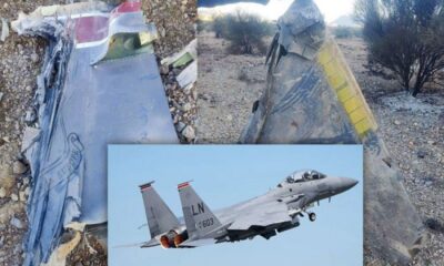 Iran says downing of US jets proves its defence capabilities