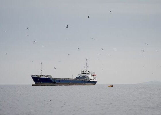 Scam messages offering ships safe transit through Hormuz, warns security firm