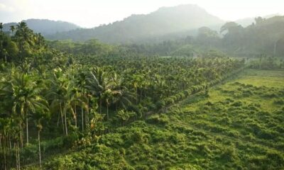 Indian opposition slams Nicobar megaport plan as ‘destruction’