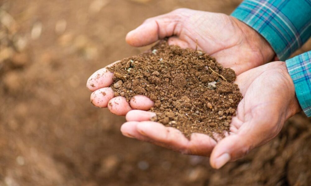 Better Cotton Initiative boosts regenerative focus, updates standard