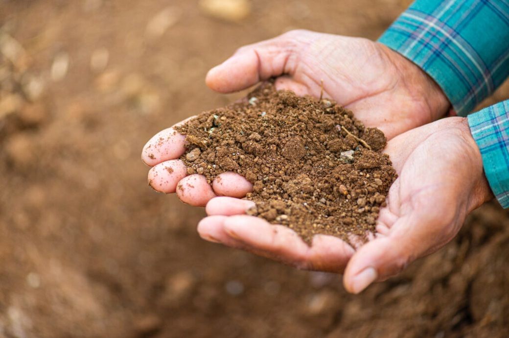 Better Cotton Initiative boosts regenerative focus, updates standard