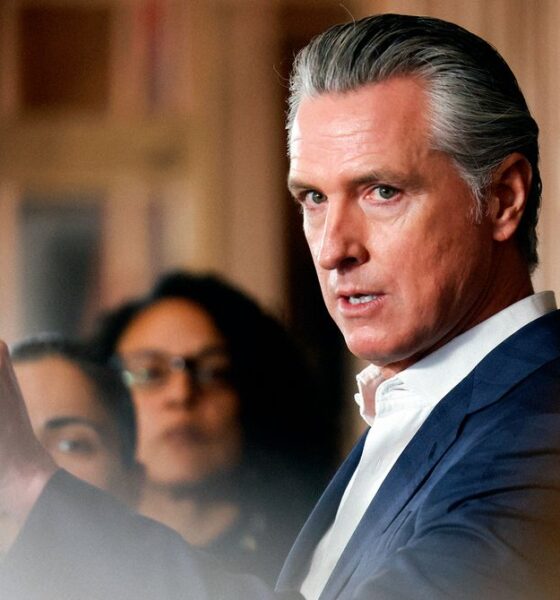 California Suspends Enforcement of Law Requiring VCs to Report Diversity Data