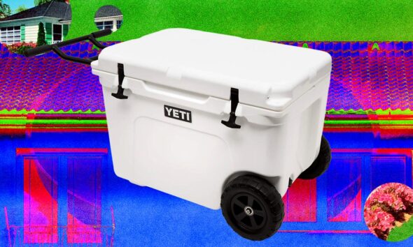 Chill Out With the Best Coolers We’ve Tried