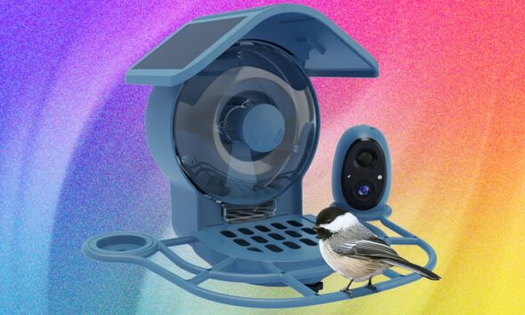 Do You Actually Need a Smart Bird Feeder With a Movable Camera?