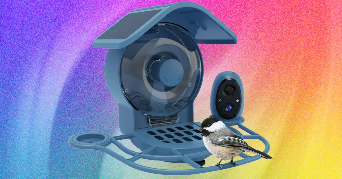 Do You Actually Need a Smart Bird Feeder With a Movable Camera?