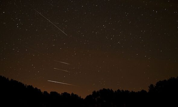 How to Watch the Lyrids Meteor Shower at Its Peak