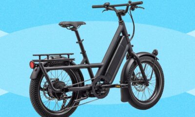 I Put My Dog, Friends, and Family Inside Bike Boxes and Rear Racks to Test All the Best Electric Cargo Bikes