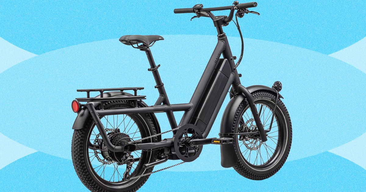 I Put My Dog, Friends, and Family Inside Bike Boxes and Rear Racks to Test All the Best Electric Cargo Bikes