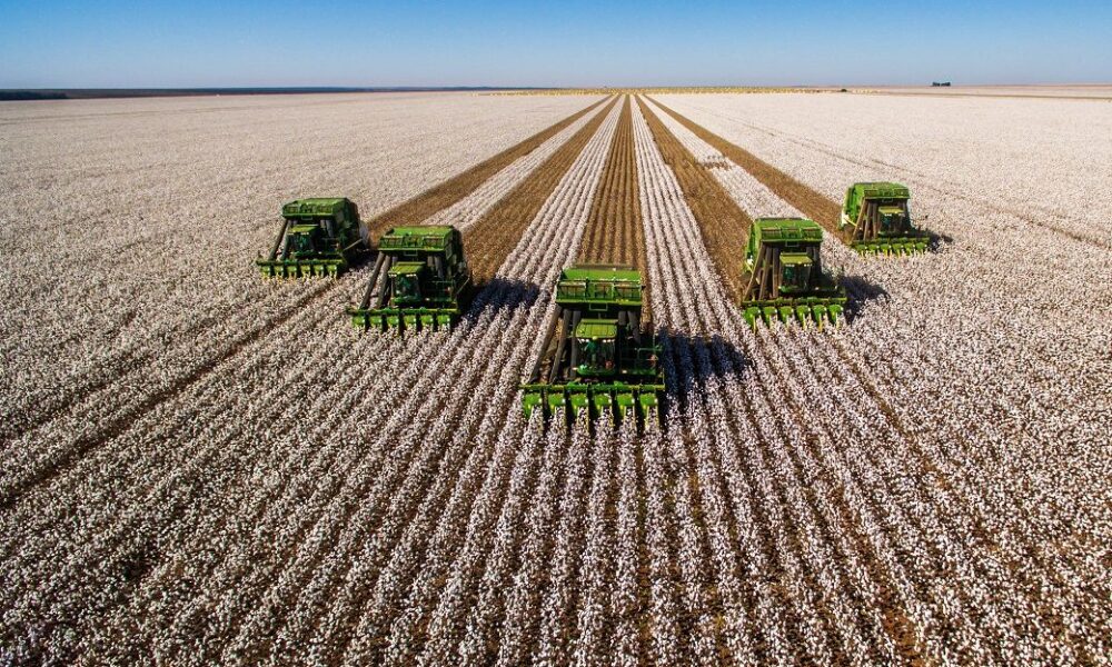 ICE cotton hits 11-month high on drought concerns, demand boost