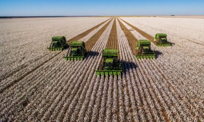 ICE cotton hits 11-month high on drought concerns, demand boost