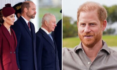 King Charles sidelines Prince William as plan to forgive Harry disclosed