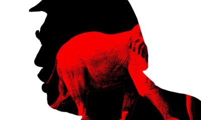 MAGA Is Starting to Look Beyond Trump