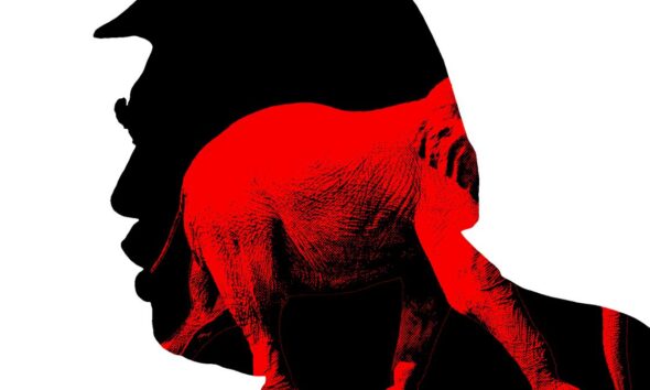 MAGA Is Starting to Look Beyond Trump